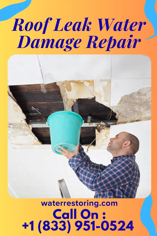 Roof Leak Water Damage Repair in Petersburg, ND